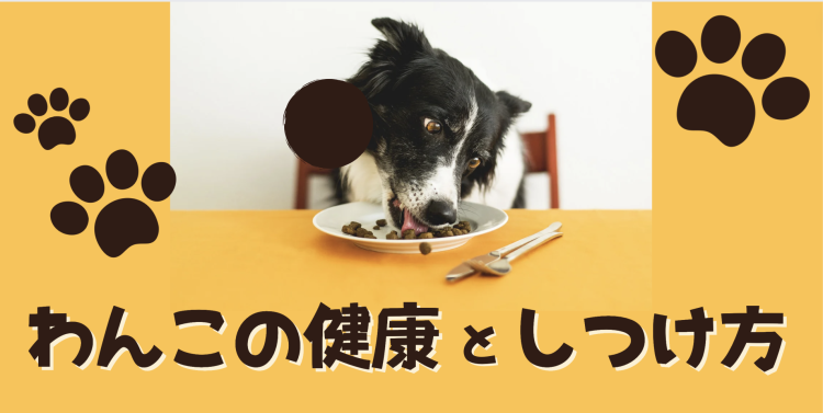 わんこの健康としつけ方